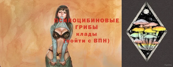 первитин Армянск