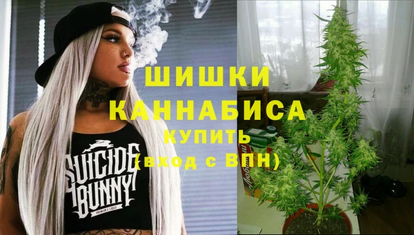 молекула духа Аркадак