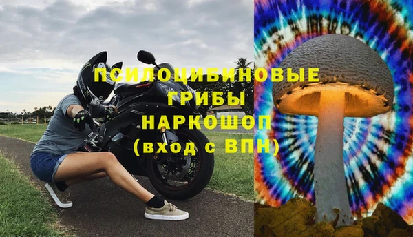 экстази Арсеньев