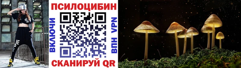 Псилоцибиновые грибы ЛСД  KRAKEN сайт  Порхов 
